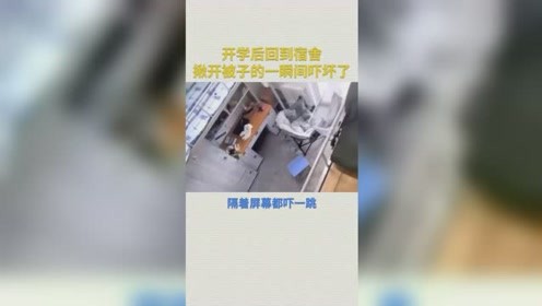 开学后回到宿舍 揪开被子的一瞬间吓坏了