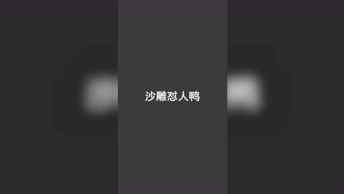 每日一笑，沙雕怼人鸭的气人日常