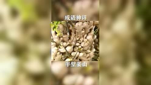 #每日搞笑精选#这，就是朕为你们打下的姜山，各