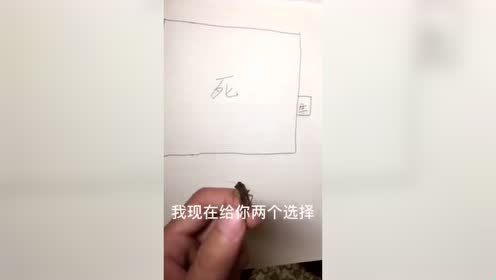 #每日搞笑精选#也不是不讲道理，毕竟是你自己选