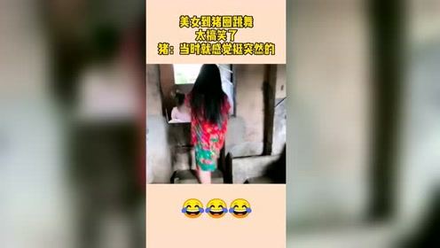 美女到猪圈跳舞，太搞笑了，猪：当时就感觉挺