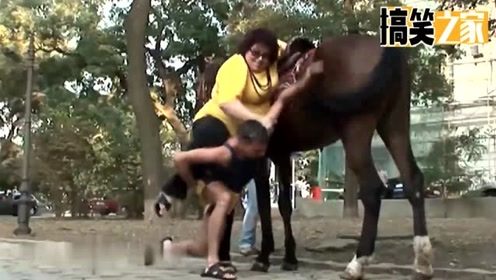 国外恶搞视频，胖女人骑马！