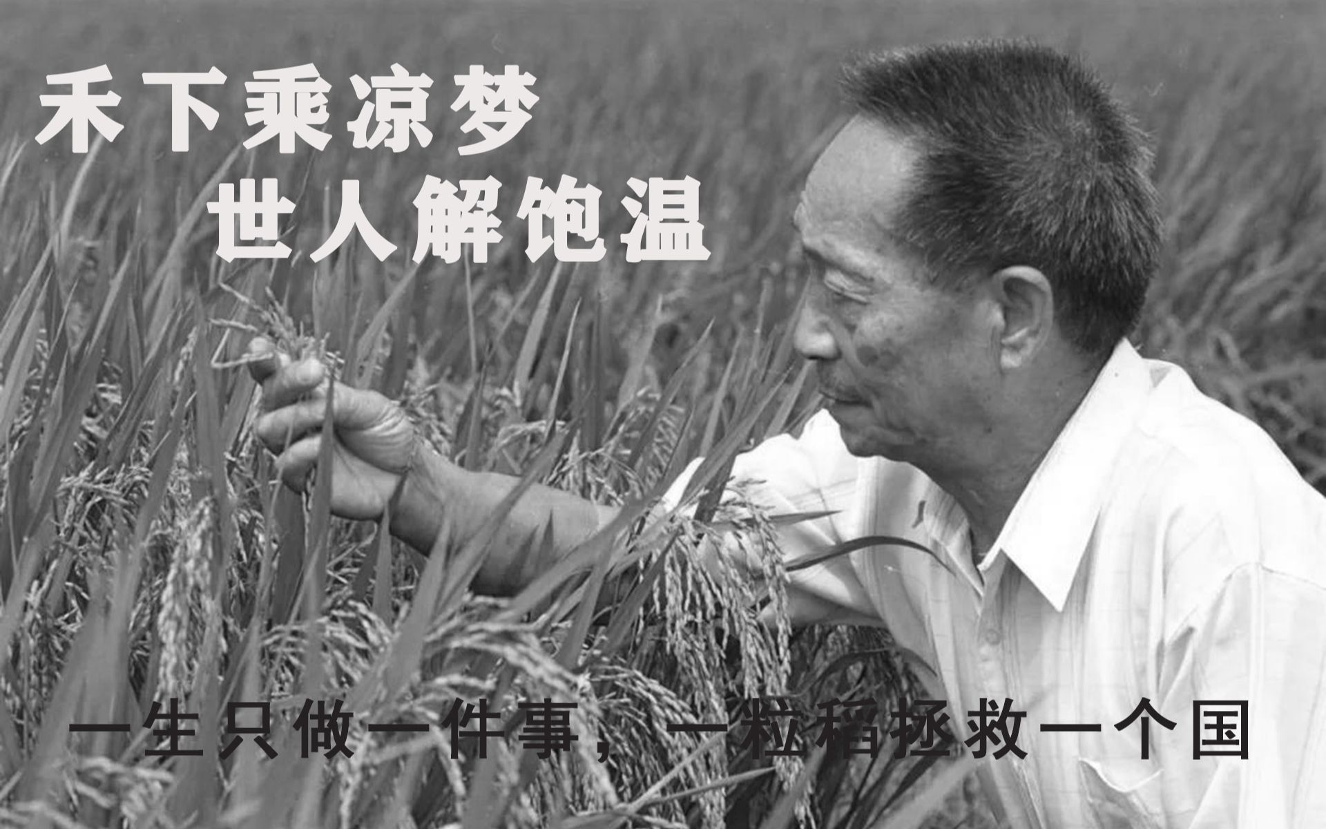 “杂交水稻之父”袁隆平传记电影，几番波折终