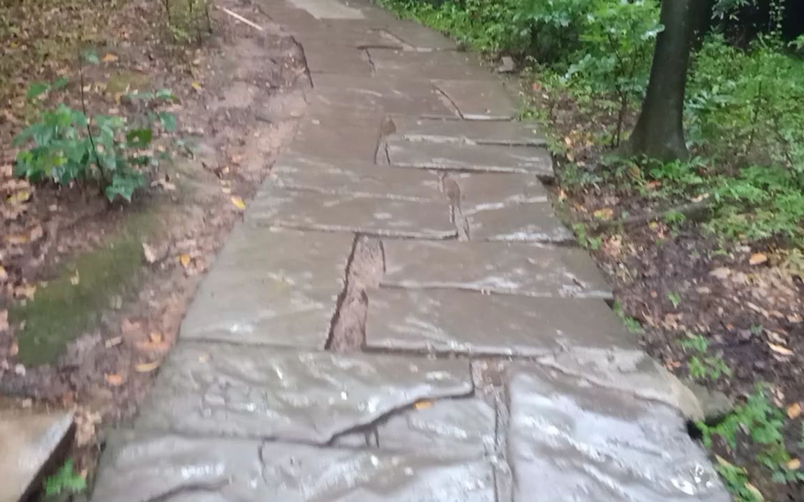 《因为在下雨所以录了下来》