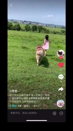 方法好不好，犬主说的算。猴子，再派来多点搞