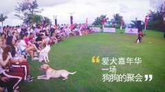 【火龙果的日常】爱犬嘉年华, 一场狗狗专属的盛