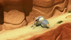 奥斯卡动画片小蜥蜴，为喝口水和他的邻居秃鹰
